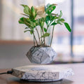 Levitating Plant Pot Magnetic Levitation 360 Degree Rotation