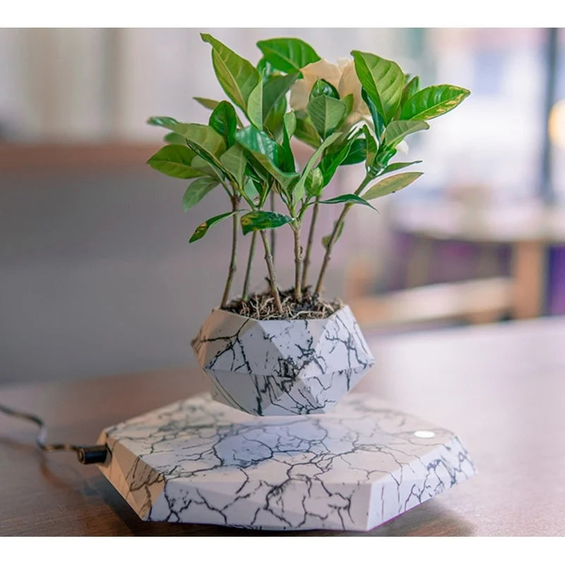 Levitating Plant Pot Magnetic Levitation 360 Degree Rotation