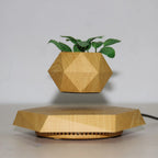 Levitating Planter Magnetic Hexagonal Base
