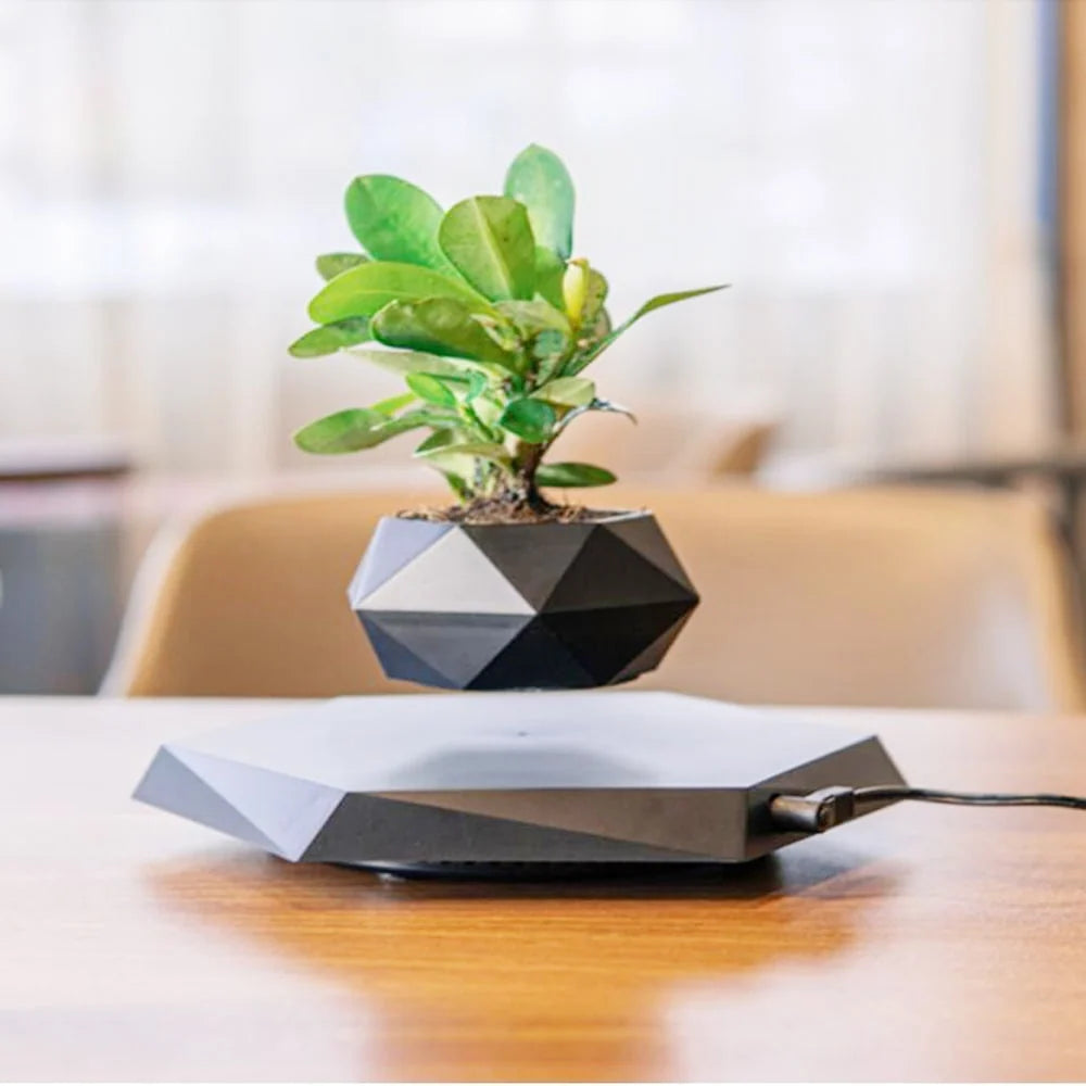 Levitating Planter Magnetic Hexagonal Base