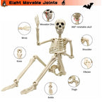 Life-Size Skeleton 12 Adjustable Joints Outdoor Ready