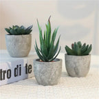 Lifelike PVC Potted Succulent (Mini)