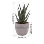 Lifelike PVC Potted Succulent (Mini)