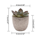 Lifelike PVC Potted Succulent (Mini)