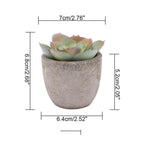 Lifelike PVC Potted Succulent (Mini)