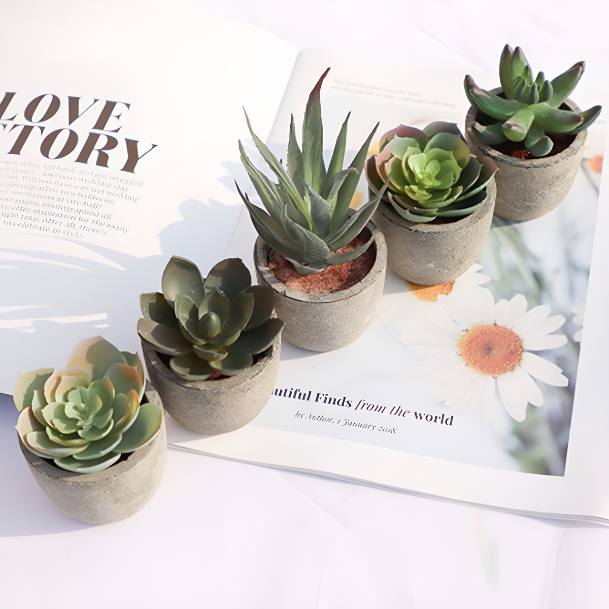 Lifelike PVC Potted Succulent (Mini)