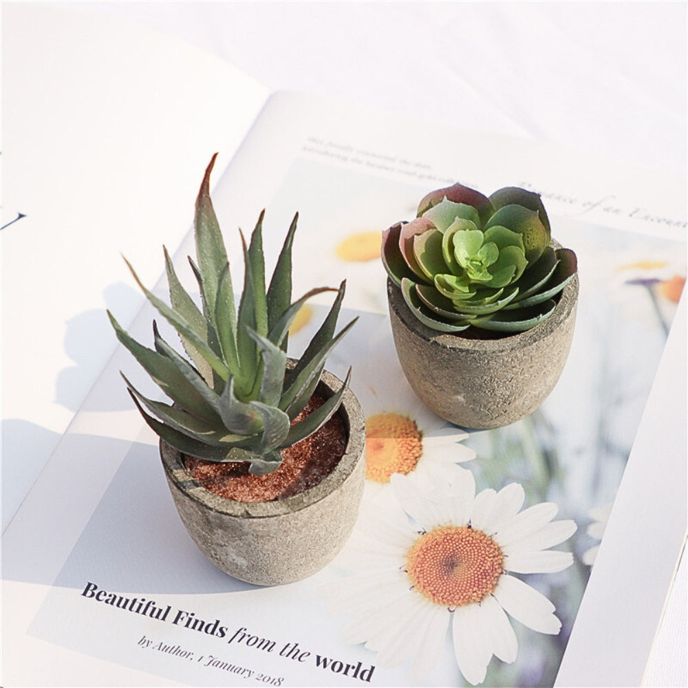 Lifelike PVC Potted Succulent (Mini)