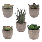 Lifelike PVC Potted Succulent (Mini)