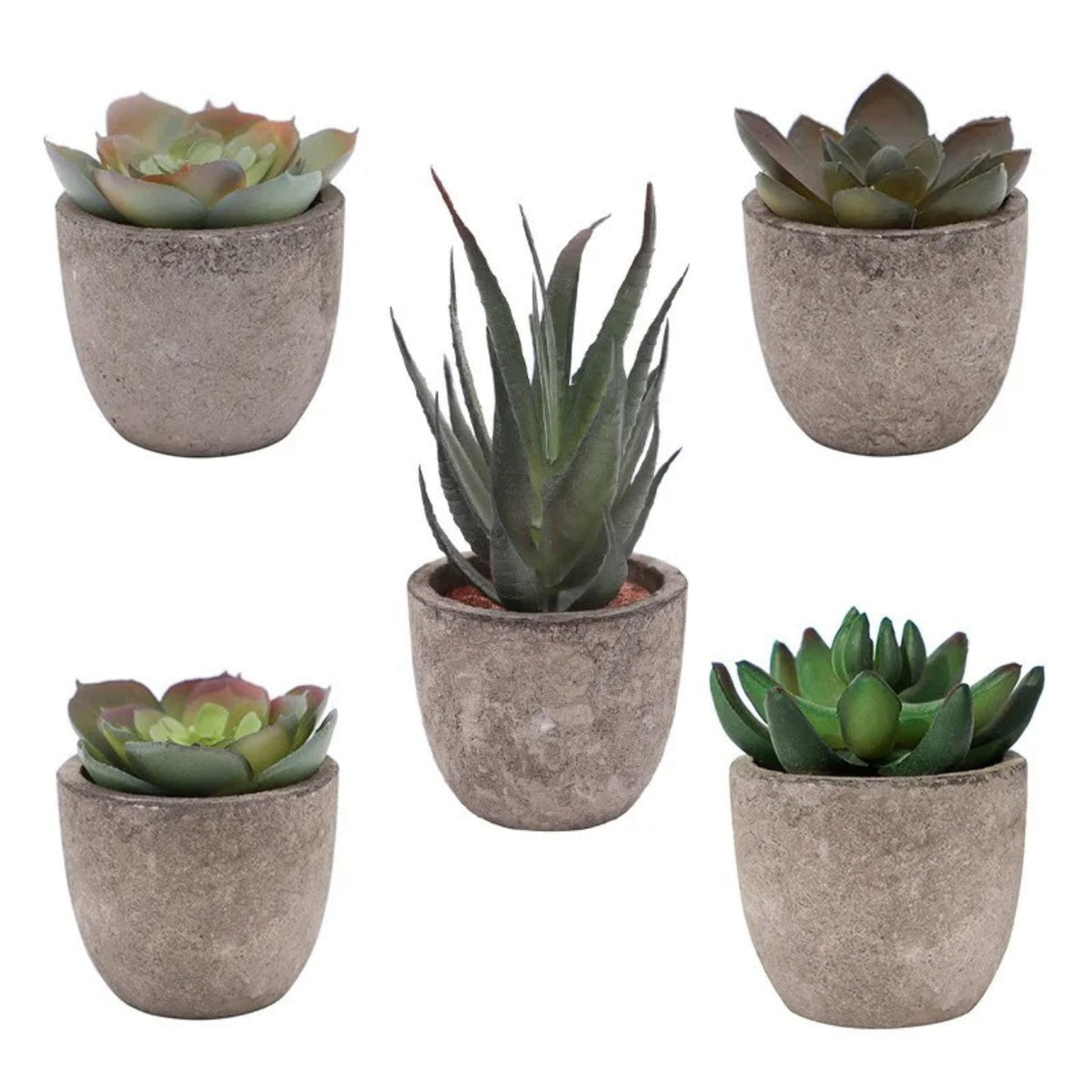 Lifelike PVC Potted Succulent (Mini)