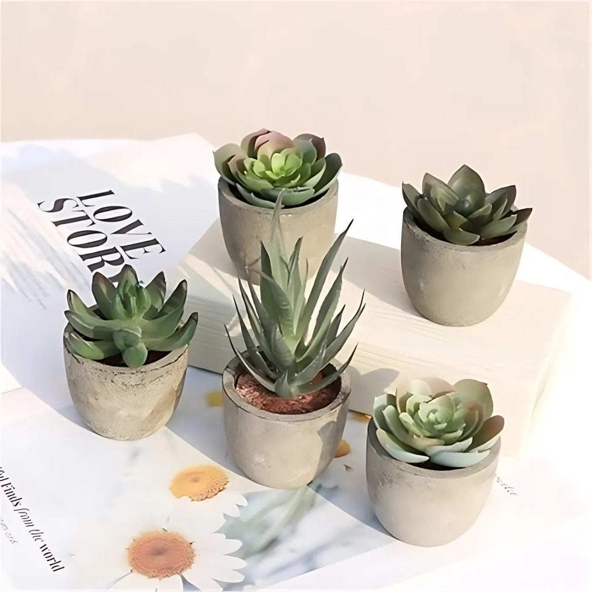 Lifelike PVC Potted Succulent (Mini)