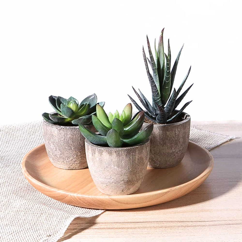 Lifelike PVC Potted Succulent (Mini)