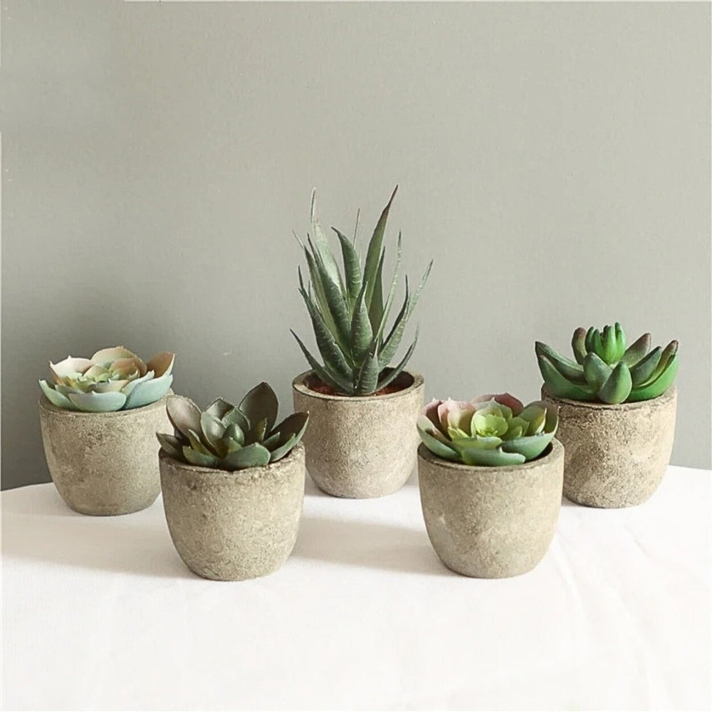 Lifelike PVC Potted Succulent (Mini)