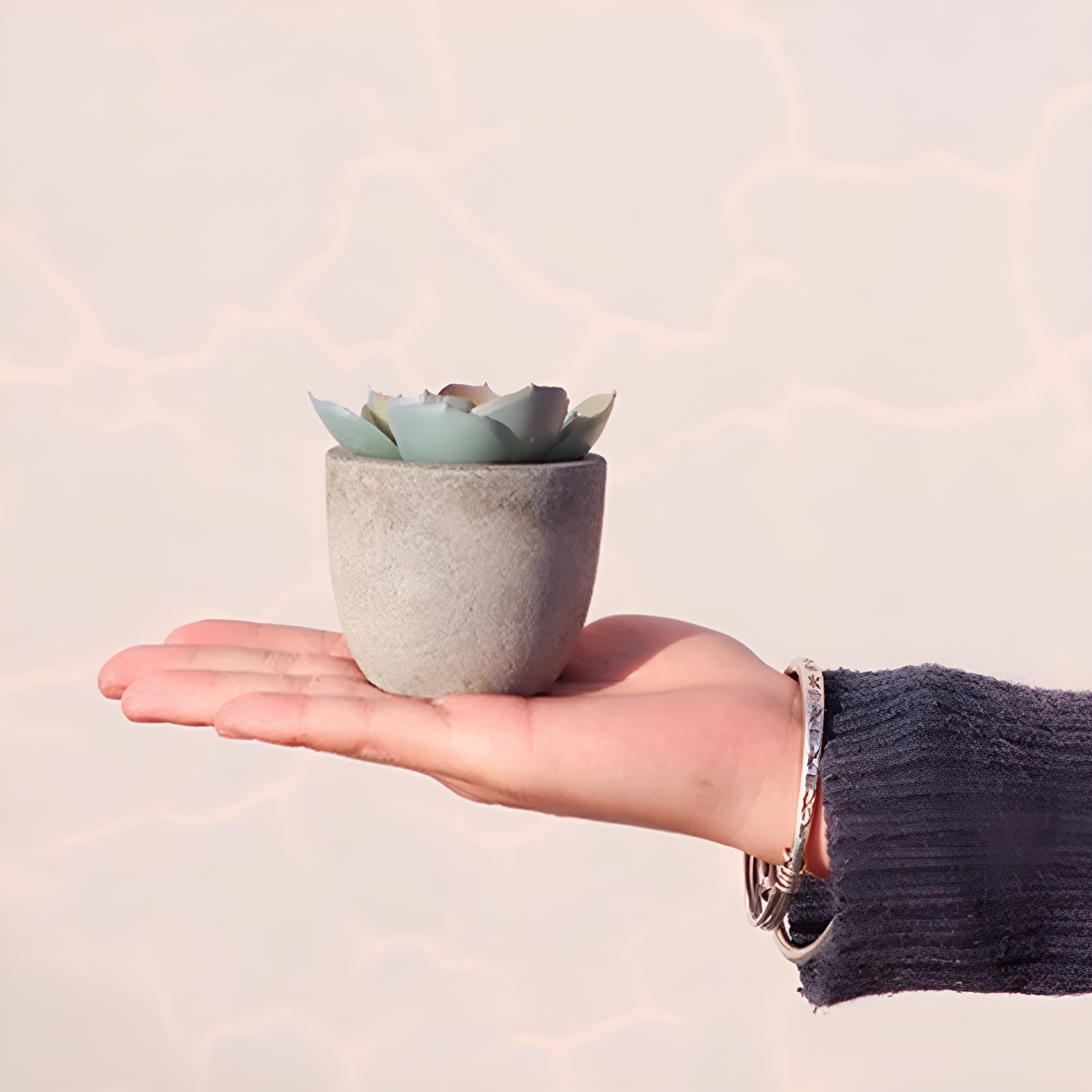 Lifelike PVC Potted Succulent (Mini)