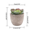 Lifelike PVC Potted Succulent (Mini)