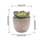 Lifelike PVC Potted Succulent (Mini)