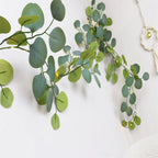 Lighted Branches Lifelike Olive Foliage Battery-Operated Warm White LEDs