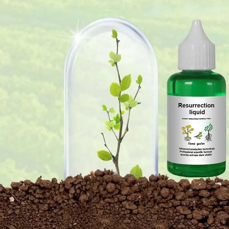 Liquid Fertilizer Root & Bloom Booster Foliar & Soil