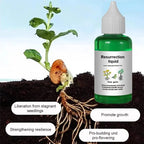 Liquid Fertilizer Root & Bloom Booster Foliar & Soil