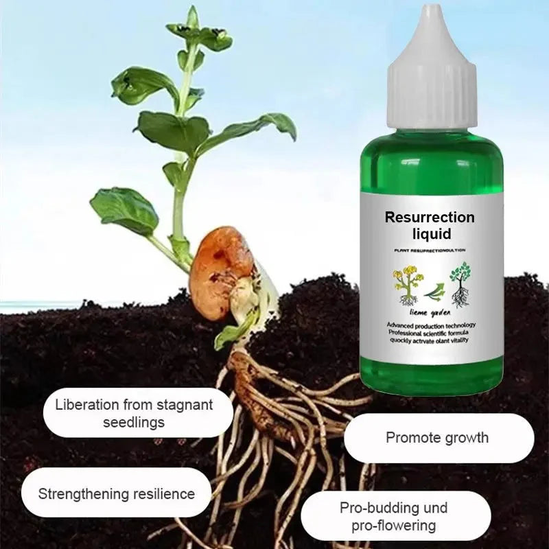 Liquid Fertilizer Root & Bloom Booster Foliar & Soil