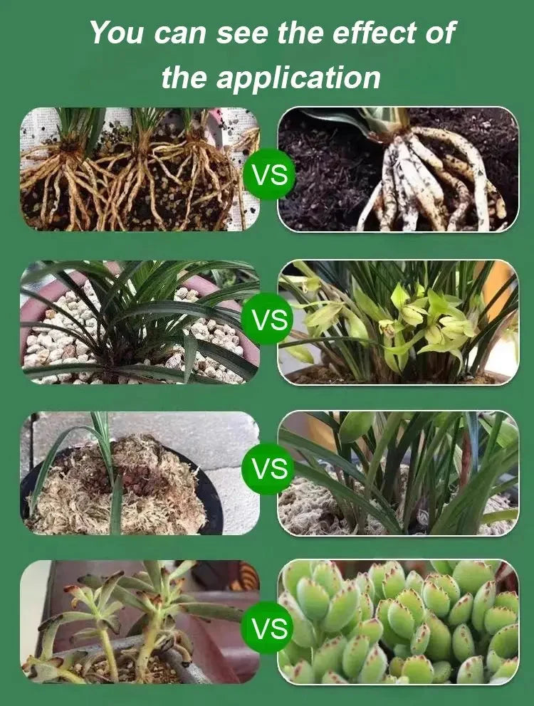 Liquid Fertilizer Root & Bloom Booster Foliar & Soil