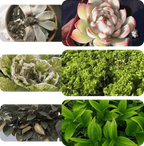 Liquid Fertilizer Root & Bloom Booster Foliar & Soil