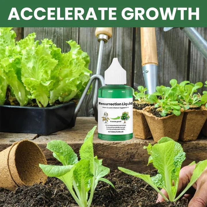 Liquid Plant Fertilizer Fast Acting Dropper Bottle 50 ml