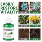 Liquid Plant Fertilizer Fast Acting Dropper Bottle 50 ml