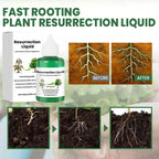 Liquid Plant Fertilizer Fast Acting Dropper Bottle 50 ml