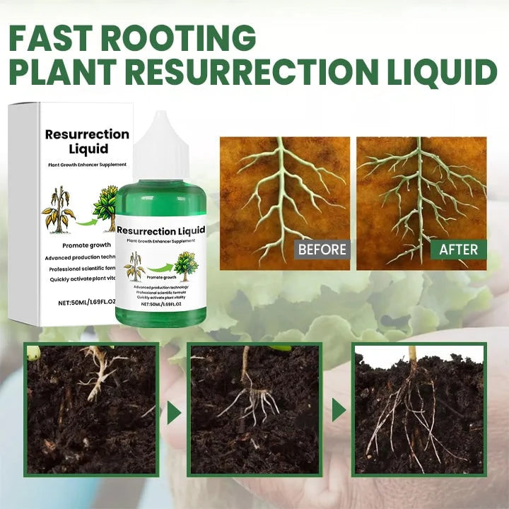 Liquid Plant Fertilizer Fast Acting Dropper Bottle 50 ml