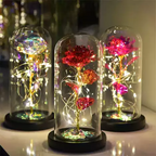 Long-Lasting LED-Lit Preserved Rose Display (Glass Dome)
