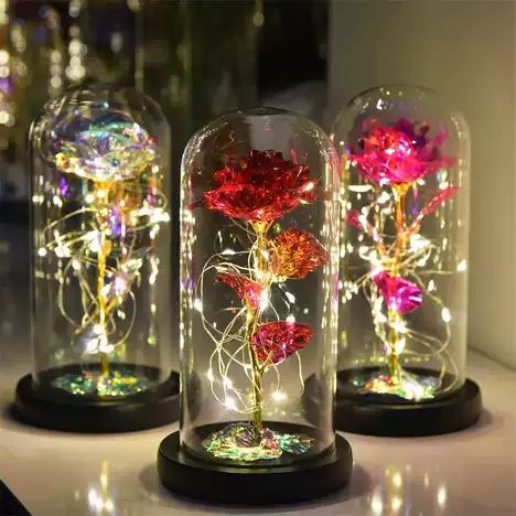 Long-Lasting LED-Lit Preserved Rose Display (Glass Dome)