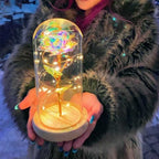 Long-Lasting LED-Lit Preserved Rose Display (Glass Dome)