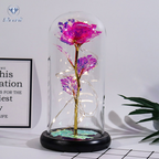 Long-Lasting LED-Lit Preserved Rose Display (Glass Dome)
