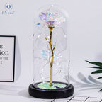 Long-Lasting LED-Lit Preserved Rose Display (Glass Dome)