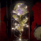 Long-Lasting LED-Lit Preserved Rose Display (Glass Dome)