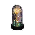Long-Lasting LED-Lit Preserved Rose Display (Glass Dome)