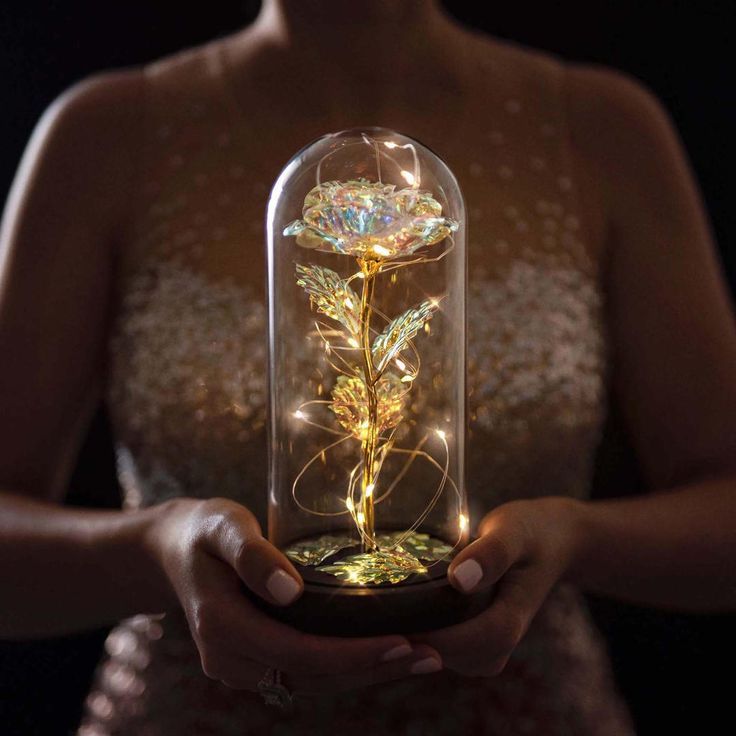 Long-Lasting LED-Lit Preserved Rose Display (Glass Dome)