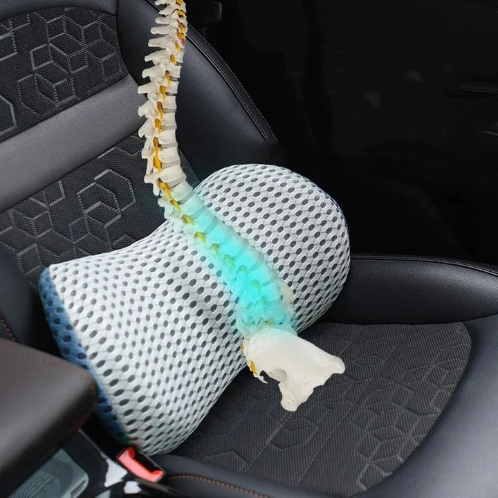 Lumbar Support Pillow Memory Foam Ergonomic Curve Removable Cover