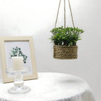 Maintenance-Free Woven Hanging Faux Plant