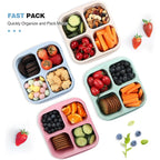 Meal Prep Box 4-Compartment BPA-Free Microwave & Dishwasher Safe
