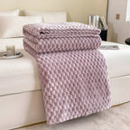 Microfiber Blanket Plush Thermal Insulating Machine Washable