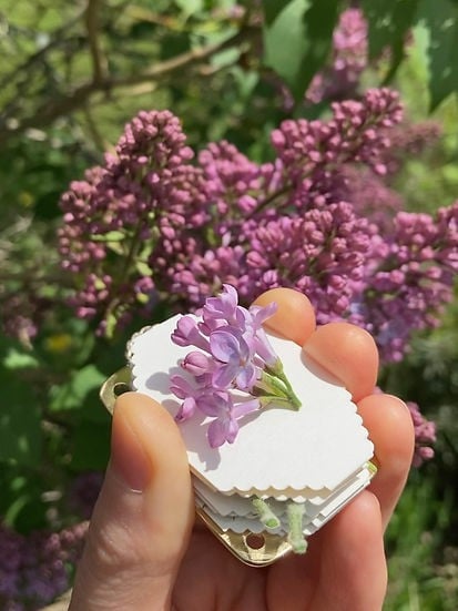 Mini Flower Press Compact Portable 10 Reusable Blotting Papers