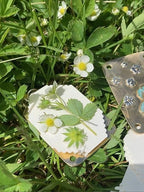 Mini Flower Press Compact Portable 10 Reusable Blotting Papers