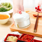Mini Food Chopper Compact 304 Stainless Steel Blades