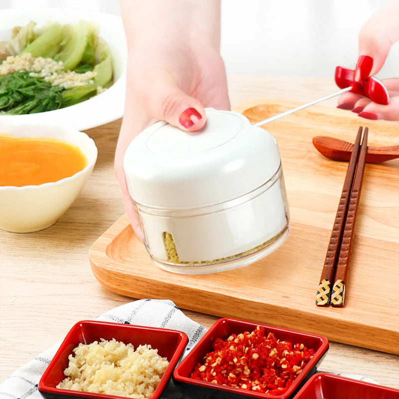 Mini Food Chopper Compact 304 Stainless Steel Blades