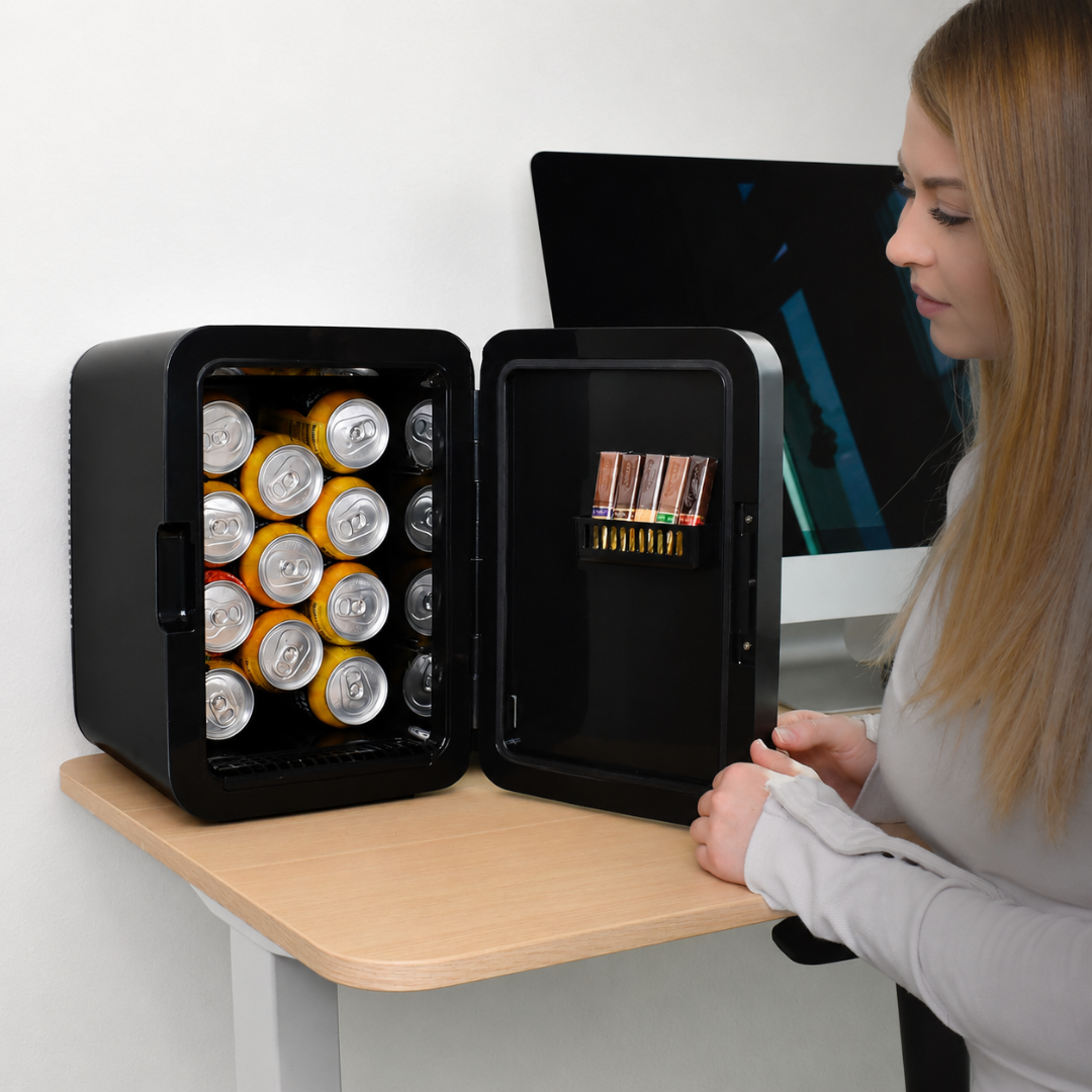 Mini Fridge Portable 10L Capacity