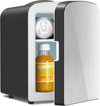 Mini Fridge Portable 4L Dual Power Removable Shelf