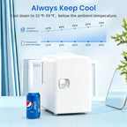 Mini Fridge Portable 4L Dual Power Removable Shelf