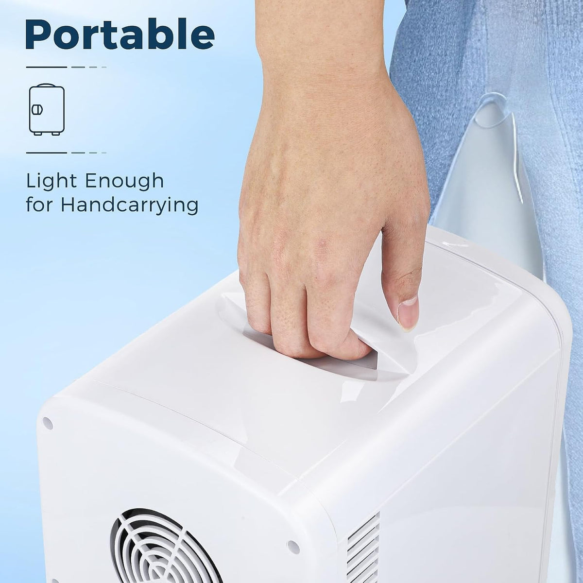 Mini Fridge Portable 4L Dual Power Removable Shelf