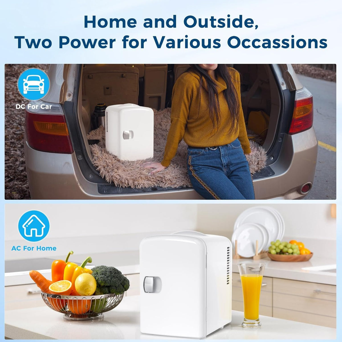 Mini Fridge Portable 4L Dual Power Removable Shelf